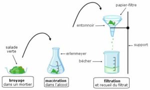 Extraction Yield Ey With Different Extraction Methods Maceration