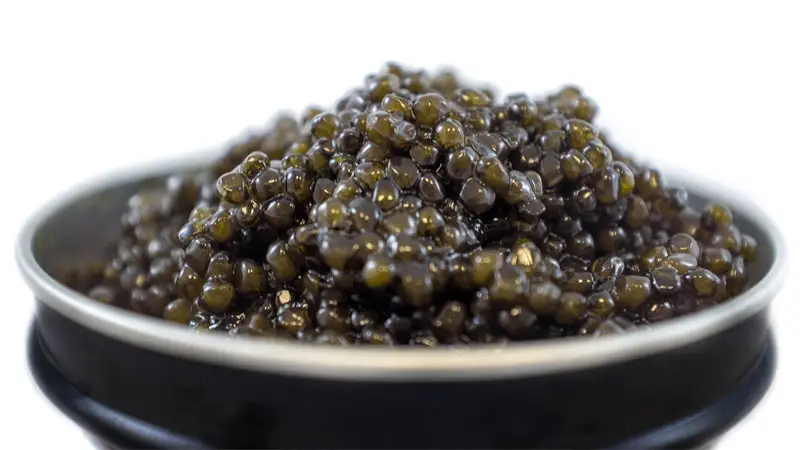 beluga caviar