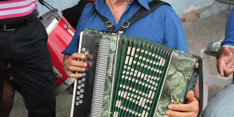 bisonoric accordion