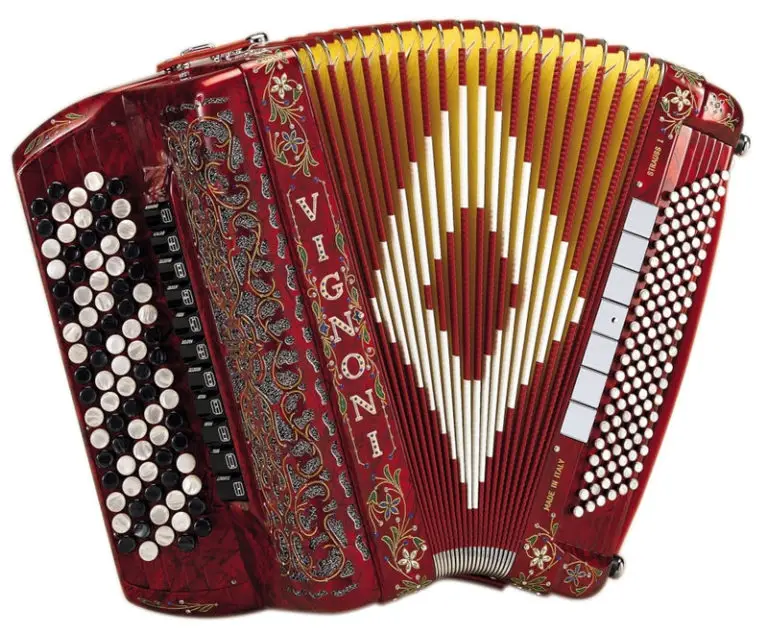 16 Different Types of Accordions (w/ Pictures) – DifferentTypes.net