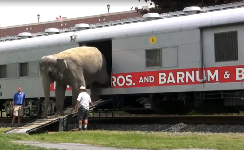 circus train