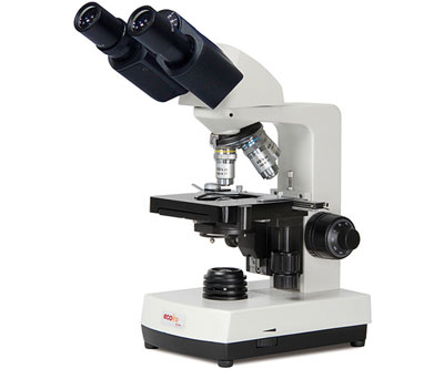 compound microscope