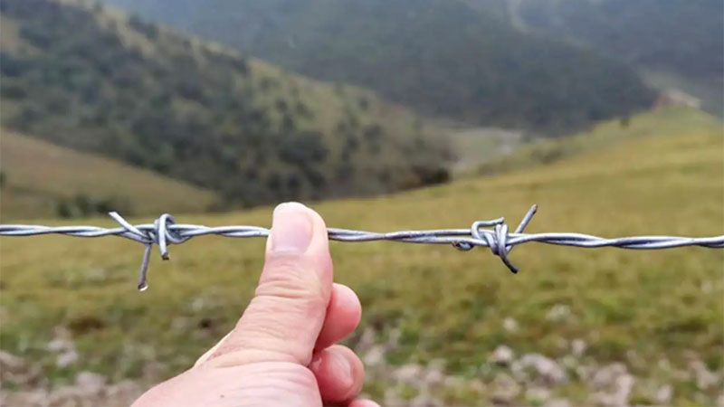 conventional twist barbed wire