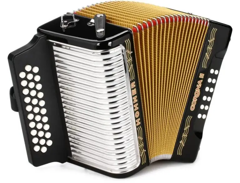 16 Different Types of Accordions (w/ Pictures) – DifferentTypes.net