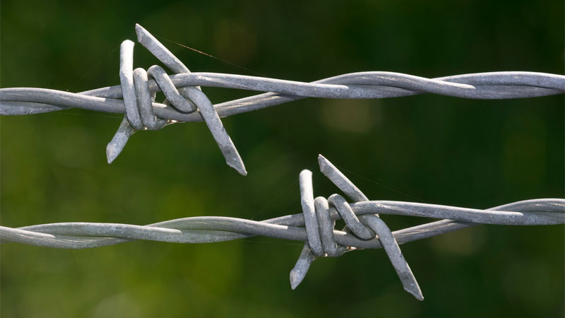 double barbed wire