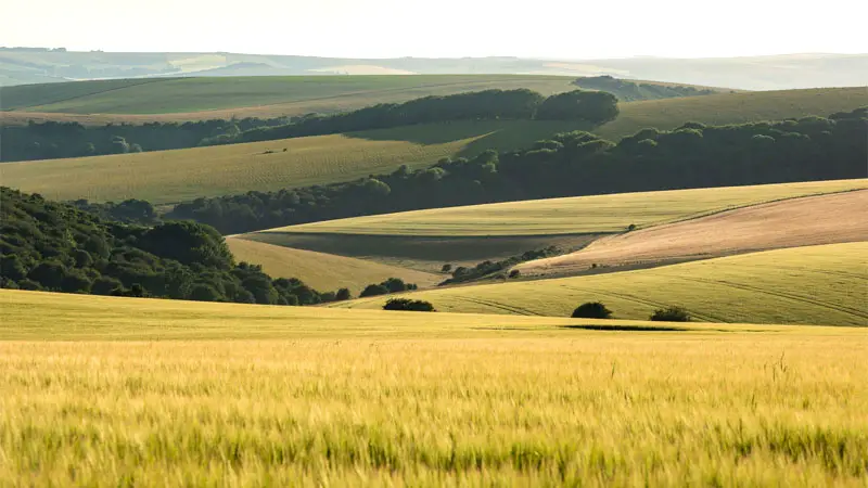 hill terrain