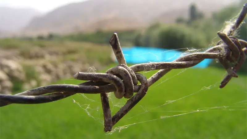 iron barbed wire