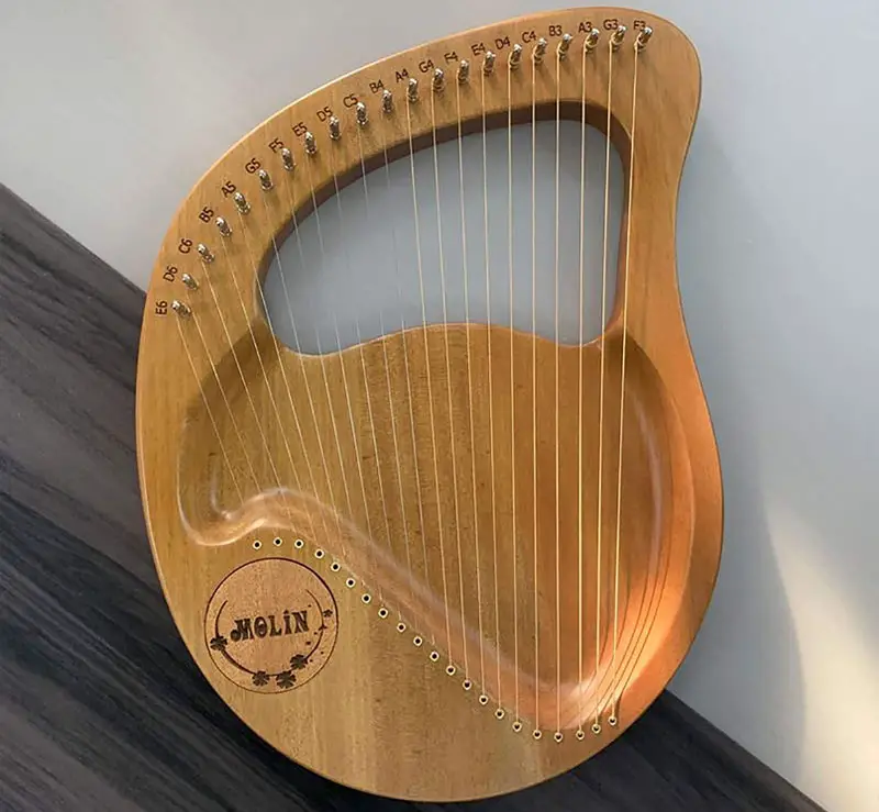 13 Different Types of Harps (w/ Pictures) – DifferentTypes.net