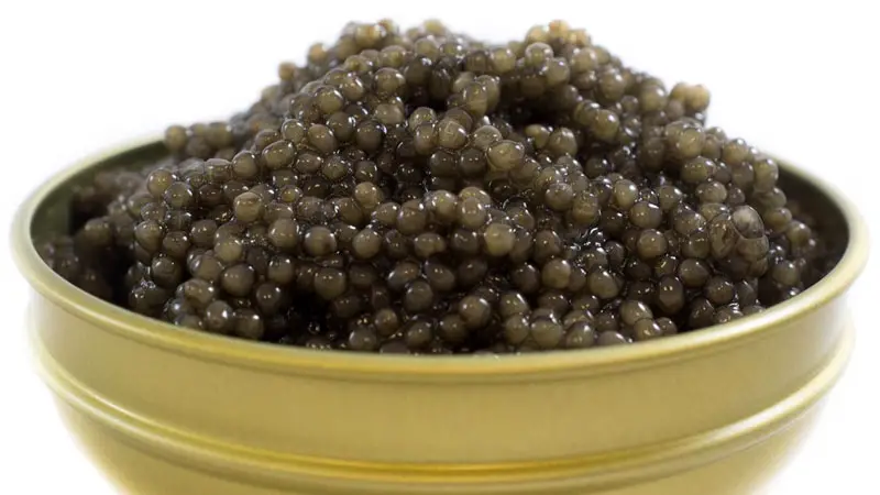 osetra caviar