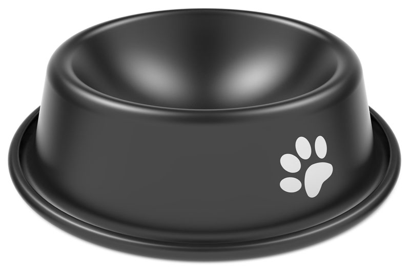 pet bowl