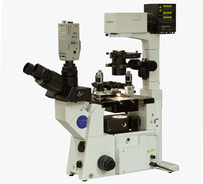 scanning probe microscope