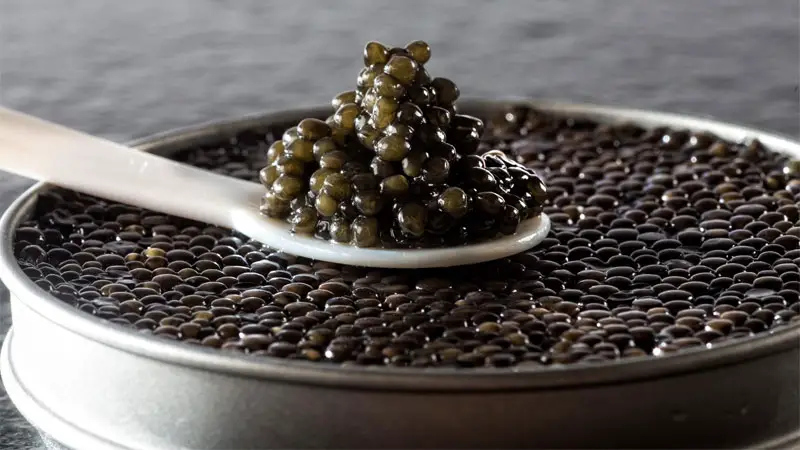 sevruga caviar