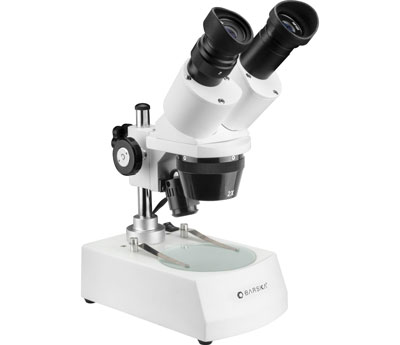 stereo microscope