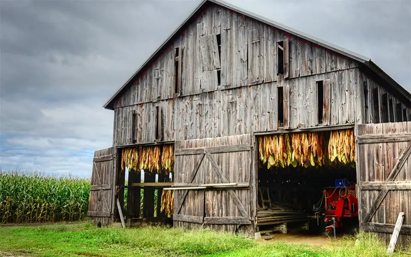 tobacco barn