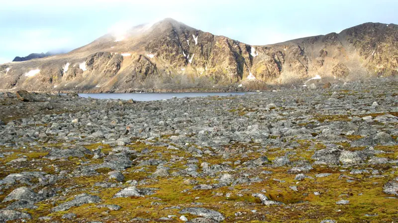 tundra terrain