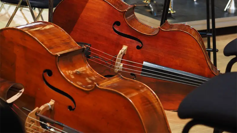 types of cellos