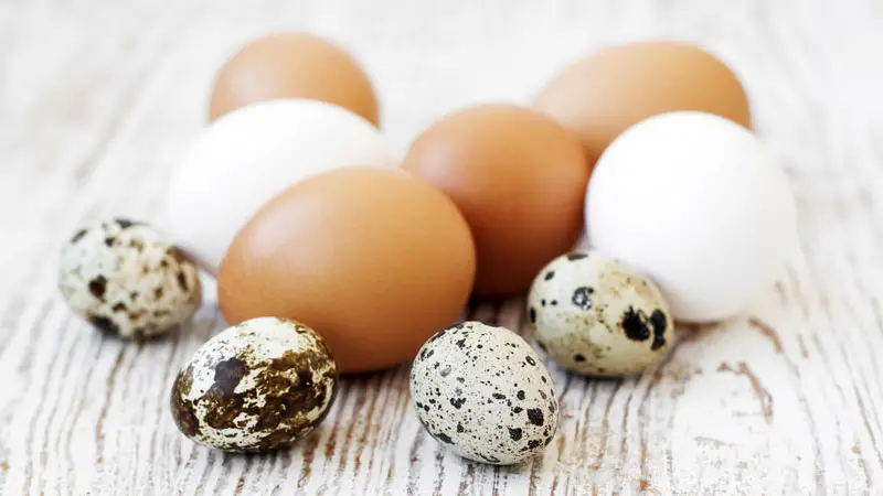 types of eggs