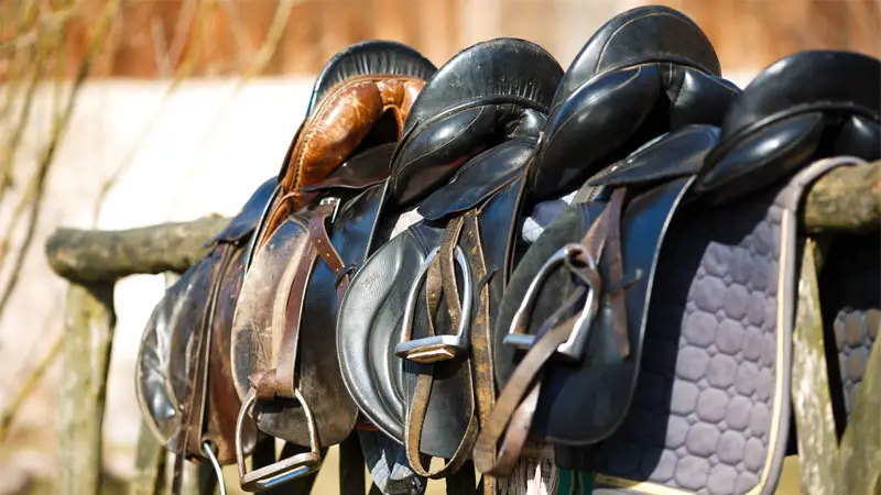 types of saddles