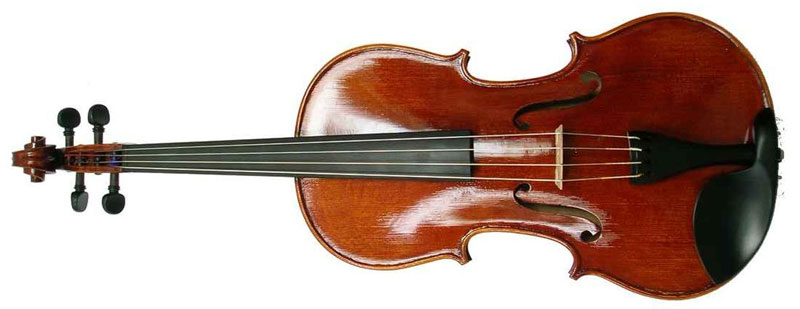 viola