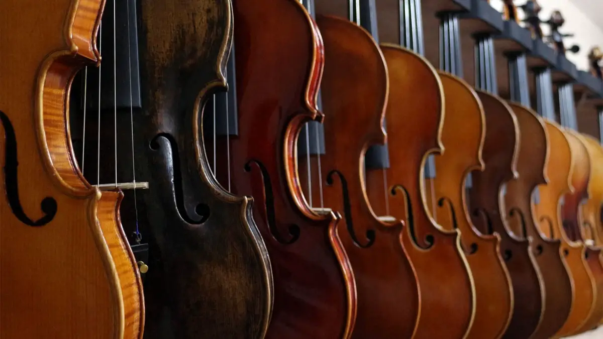 types of violins